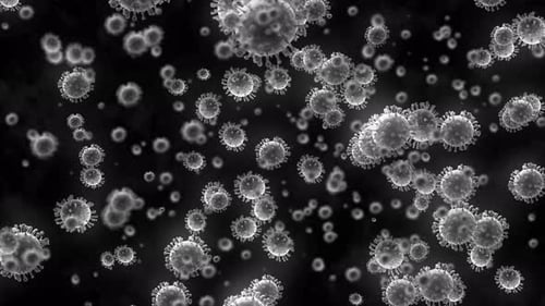 Animated Microscopic Virus Particles Flowing in Dark Space