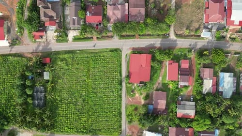 Aerial top down view rural Malays village and plantation in evening sunshine