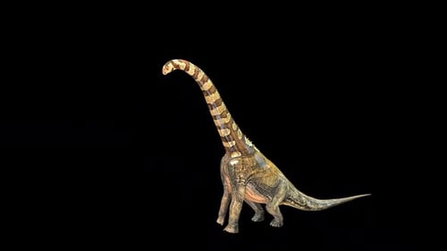 Realistic Brachiosaurus Dinosaur Walking Alpha Channel Animation