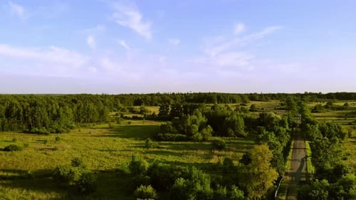 La carretera atraviesa campos y bosques.
