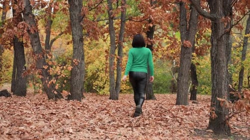 Autumn Walk Adventure Woman Explores Vibrant Autumn Landscape Peacefully Serene Woman Takes