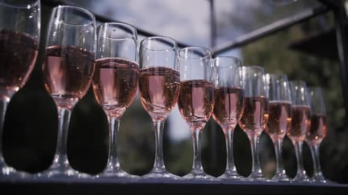 Champagne Glasses Stand in a Row