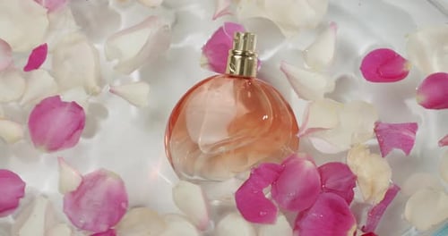 Elegant Perfume Bottle Surrounded By Rose Petals in Water Fresh and Romantic
