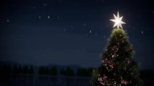 Christmas Tree with Glowing Star in Snowy Winter Landscape