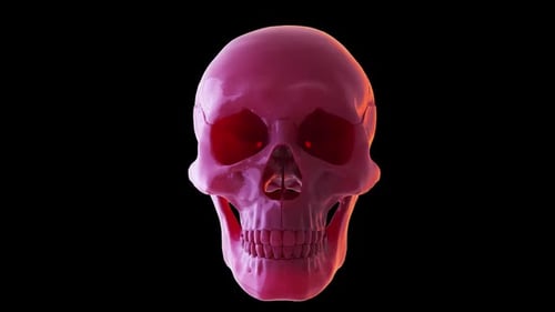 Animated human skull rotating slowly against black background