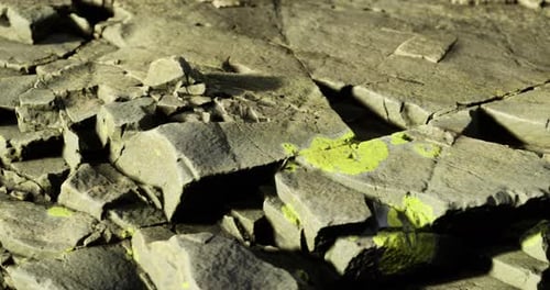 Natural Stone Surface Exhibiting Cracks and Bright Green Patches in Sunlight