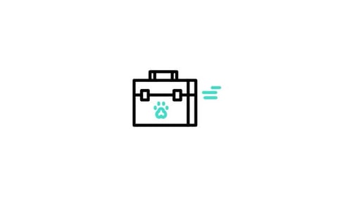 Firstaidkit Animated Icon