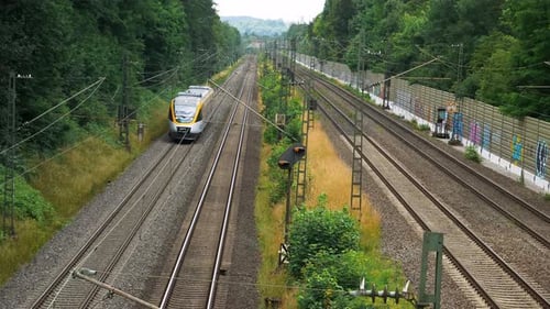 A yellow-topped train and large windows approaches down a track on a railroad with large bushes and