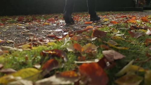 Legs of person walking on path covered by autumn leaves