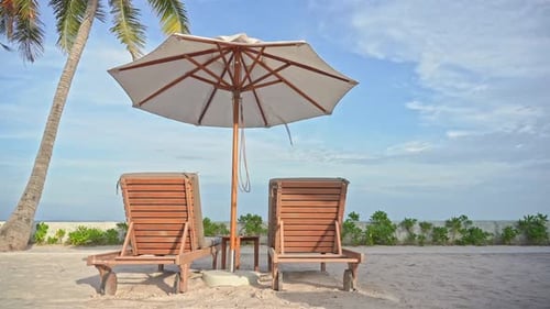 Sun umbrella, palm tree and empty deckchairs on the beach
