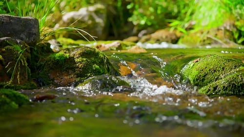 Mountain River an einem Sommertag