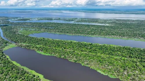 Río Amazonas en Manaus en Amazonas Brasil.