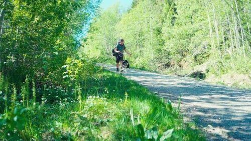 Backpacker Norwegian Guy With Alaskan Malamute Dog Breed Through Forest Pathways. Static Shot
