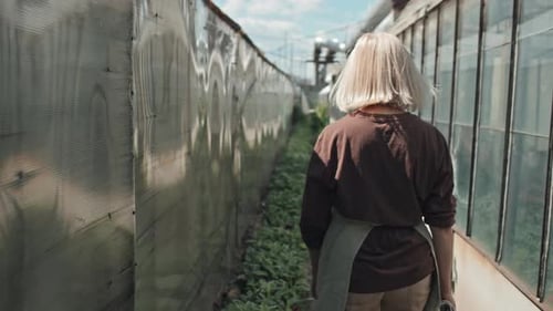 Woman Walking Through Sunny Greenhouse Aisle