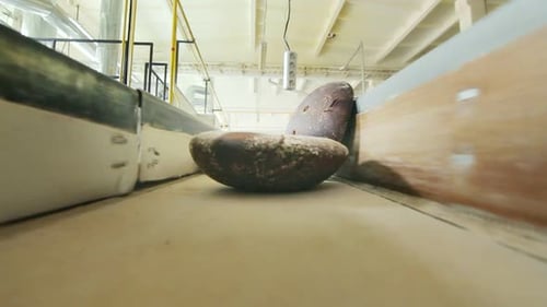 Bread Products on Factory Conveyor Belt. Bread Production Line. Bread Factory Manufacturing
