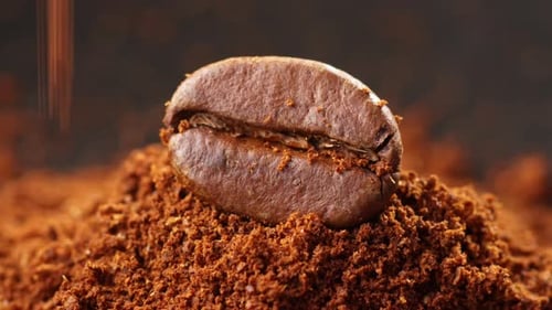 Schuss Kaffeebohne mit braunem Kaffeepulver bestreut