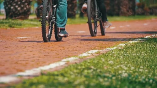People Riding Bicycles on Bike Lane Red Path with Sign for Bicyclists Palm Trees