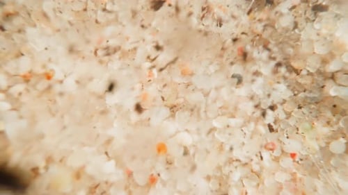 View of Bottom of Stormy Sea Wave Lifts Up Pebbles and Dirt