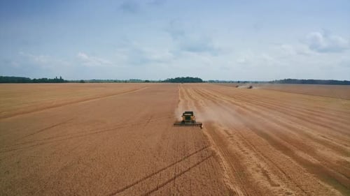 Aerial View of Combine Harvesting Wheat in Rural Field