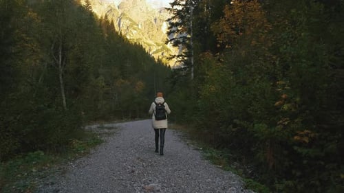 Beautiful Female Traveler Walks Through the Forest to the Mountains Incredibly Beautiful Views in
