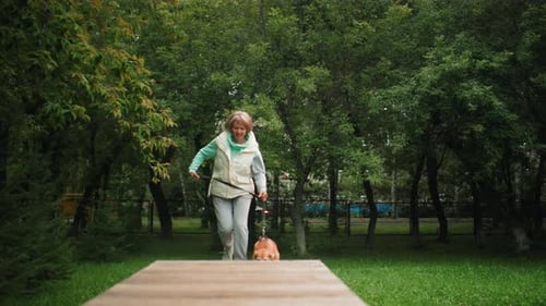 Woman Walks Beagle on Leash on Ramp in Park