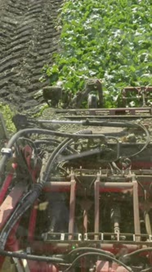 Agricultural Machinery Cultivating Green Crops in a Field with Rich Soil and Vibrant Foliage
