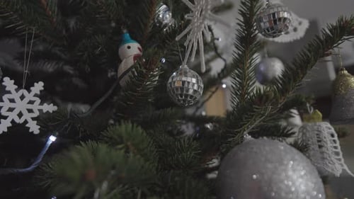 Close up ornaments on Christmas tree indoor, a living Christmas tree tastefully decorated