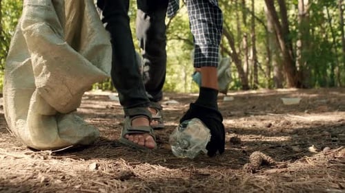 Volunteers Collecting Trash in Forest Environment