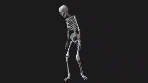 Squelette regarde autour de lui rapidement 02
