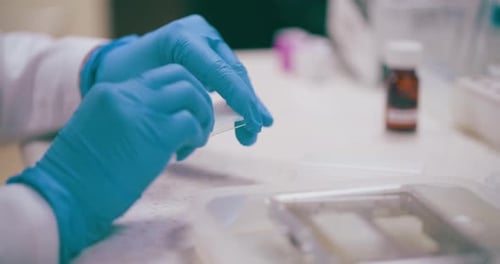 Scientist Working with Slide in Laboratory Setting