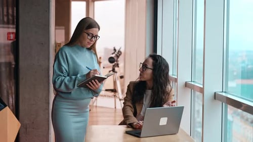 Women at work in the office. Brunette sits at desk talking and pointing at laptop.