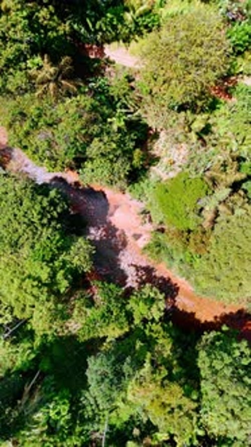 Flying over the nature of Sri Lanka on sunny day.