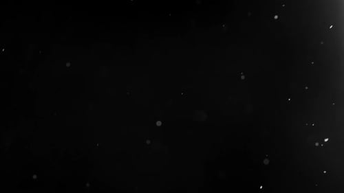 Dust Particles