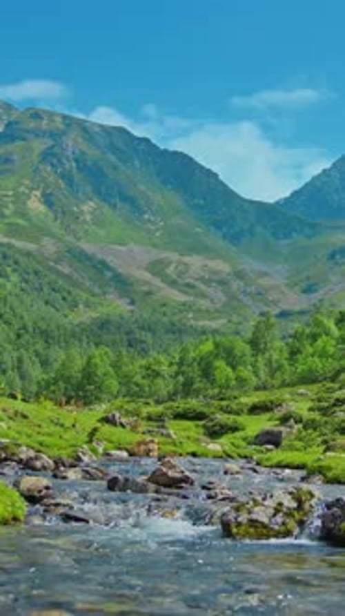 Summer Landscape in the Mountains The Flow of a Mountain River