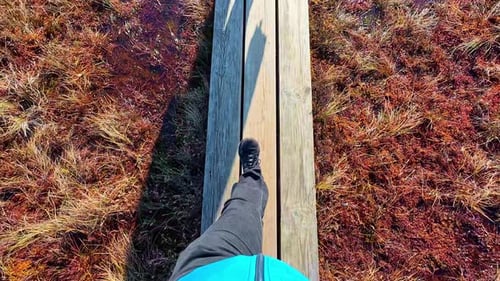 POV walking on a small wooden bridge, view of the feet and legs, sunny day with red grassland
