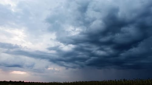 Storm Clouds Moving in Time Lapse Over the Sunflower Field. Cloudy Landscape with Summer Rain
