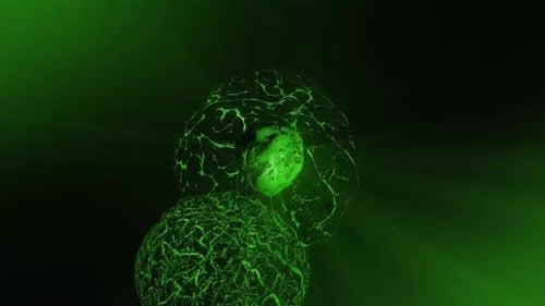 Glowing Green Abstract Cell Growth Animation