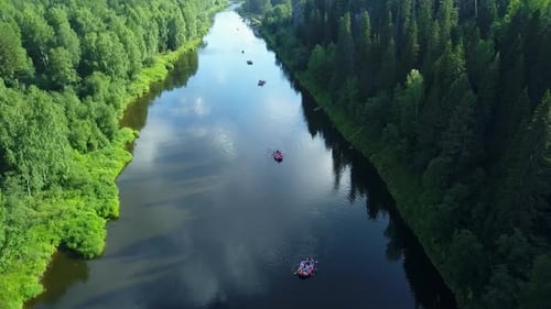 Um rio sereno flui graciosamente por uma bela paisagem florestal verdejante Stock Clip
