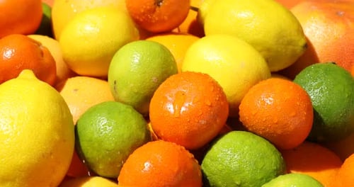 Fresh and Colorful Citrus Fruits Close Up