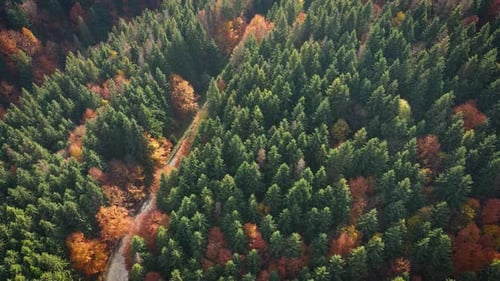 Aerial View Of Mountain Road 4