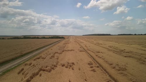 Wheat field aerial view in Ukraine
