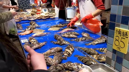 Hong Kong fish wet market, selling seafood fish, crab and clam, the day before Chinese New Year, 3 F
