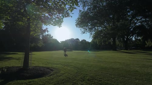 Weites Filmmaterial des öffentlichen Parks mit grünen Grasbäumen und Blättern an sonnigen Tagen