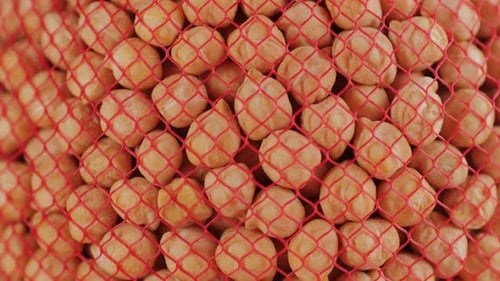 Chickpeas Close Up Food Background Chickpeas Texture Macro Raw Cereal Healthy Food