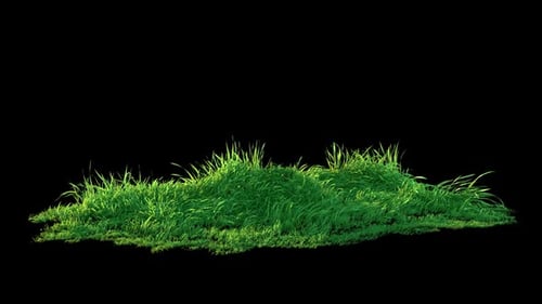 Grass Wind Noise Loop on Alpha