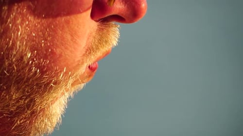 Close Up of Man's Mouth and Beard