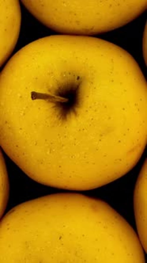 Raw Fresh Ripe Yellow Golden Delicious Apples As Delicious Vegetarian or Vegan Food Rotate