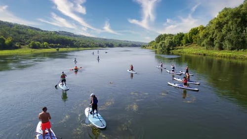 Aerial drone view of multiple people doing standup paddleboarding on the Dniester. Lush forest on th