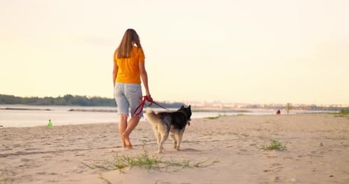 Young Woman Enjoying Evening Walk with Her Pet Dog on the Beach in Summer