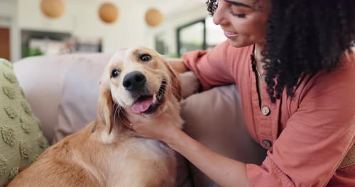 Woman Pets Golden Retriever on Couch at Home